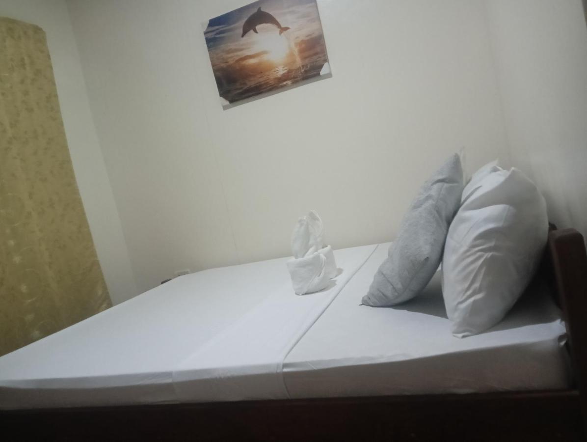 Nay Nildz Pension House سان فيسنتي المظهر الخارجي الصورة